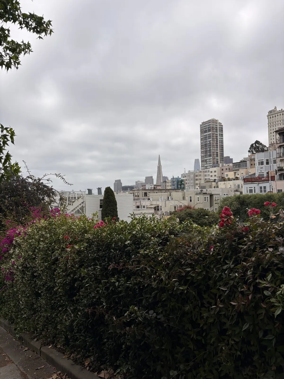 View of SF and Transamerica