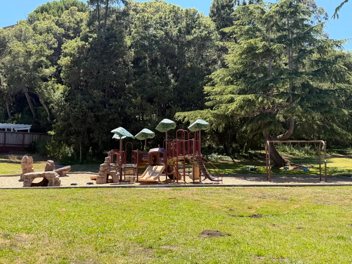 Playground structure includes 2 toddler swings