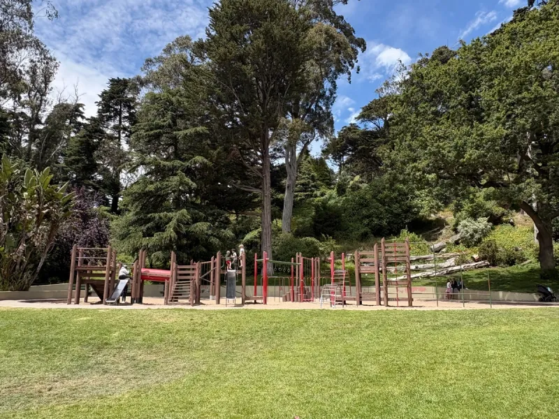 View from the middle of the meadow