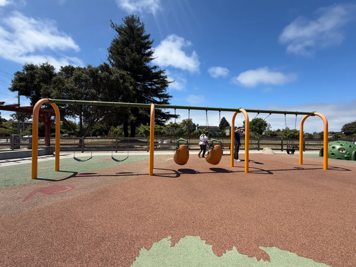 Variety of swings available for all ages