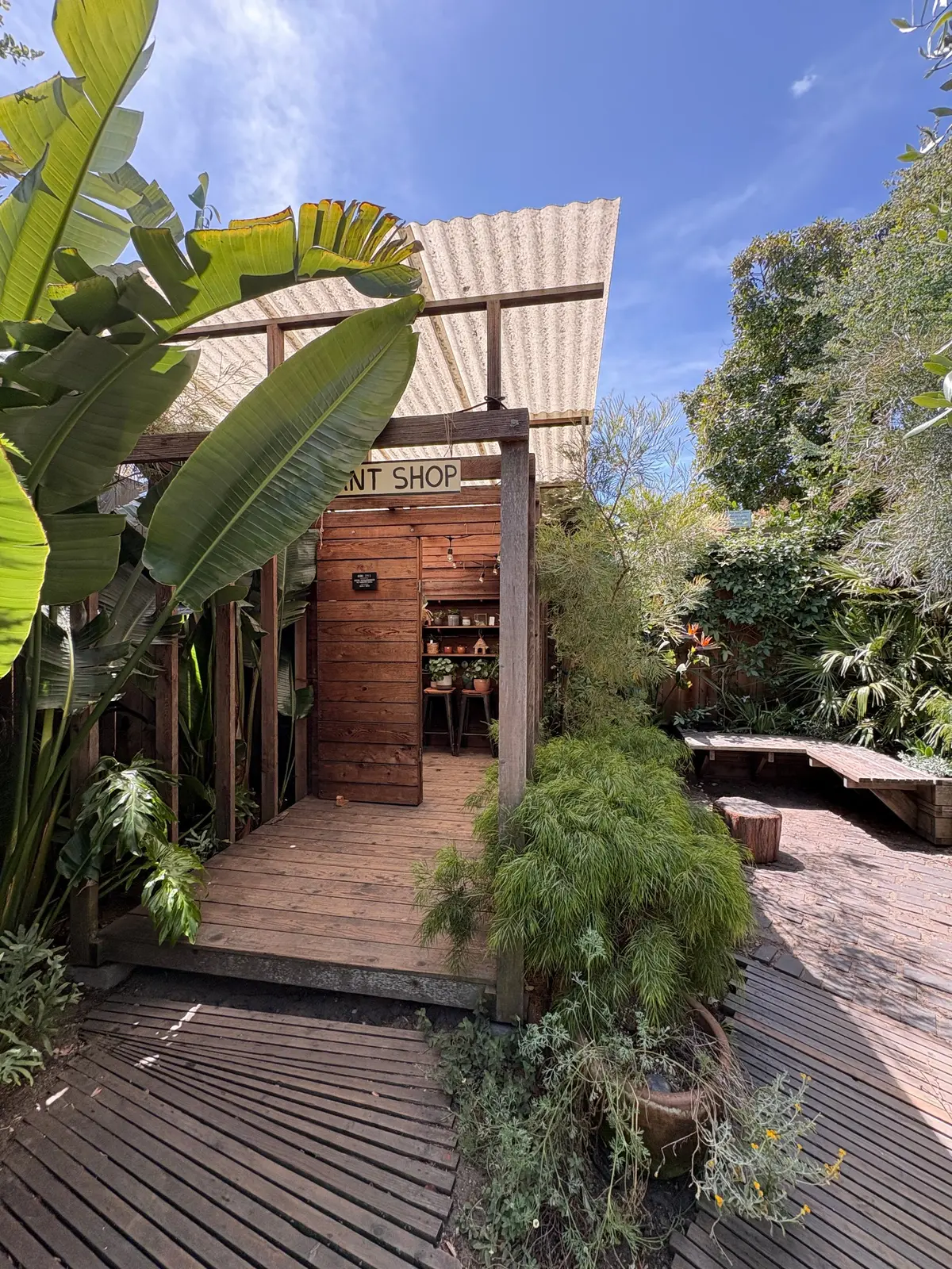 Small little plant shop