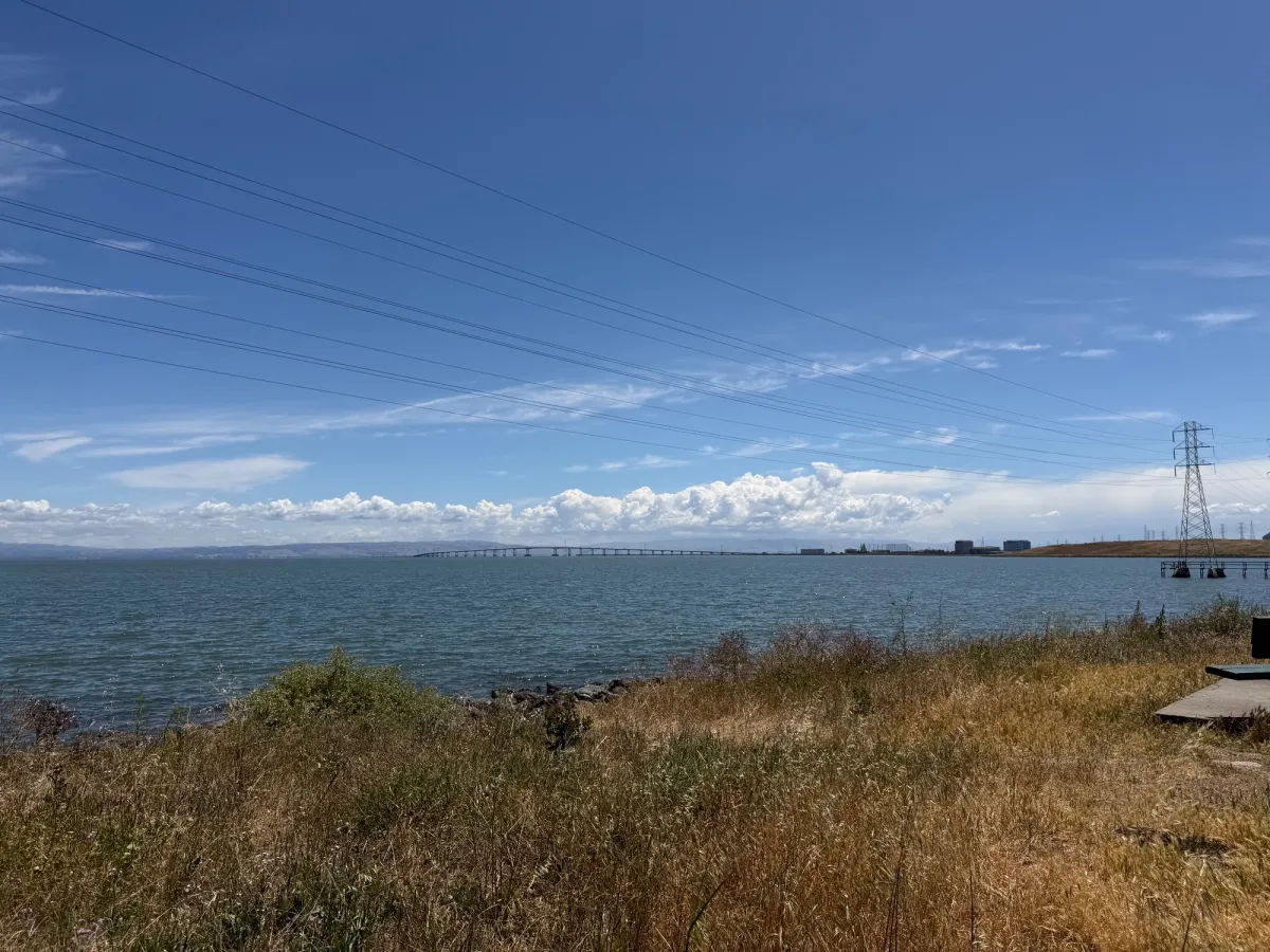 View of the shoreline