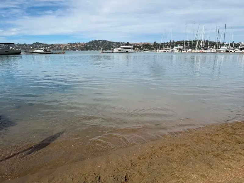 Schoonmaker Point Marina