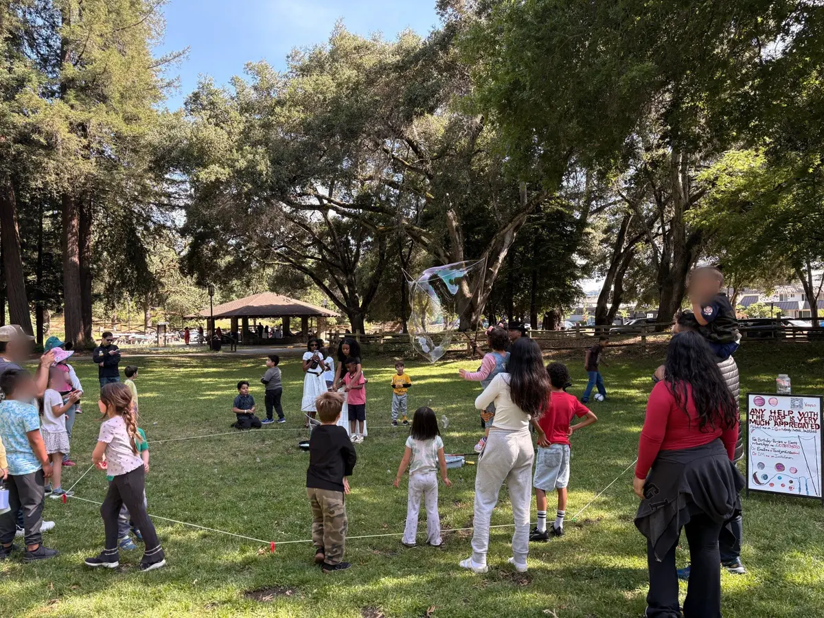 Plenty of public and enterprising entertainment in the park