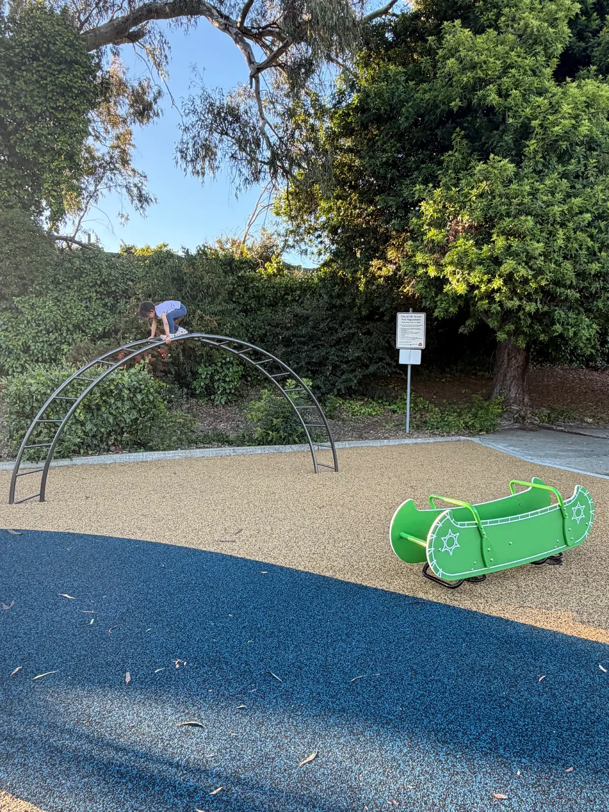 climbing structure