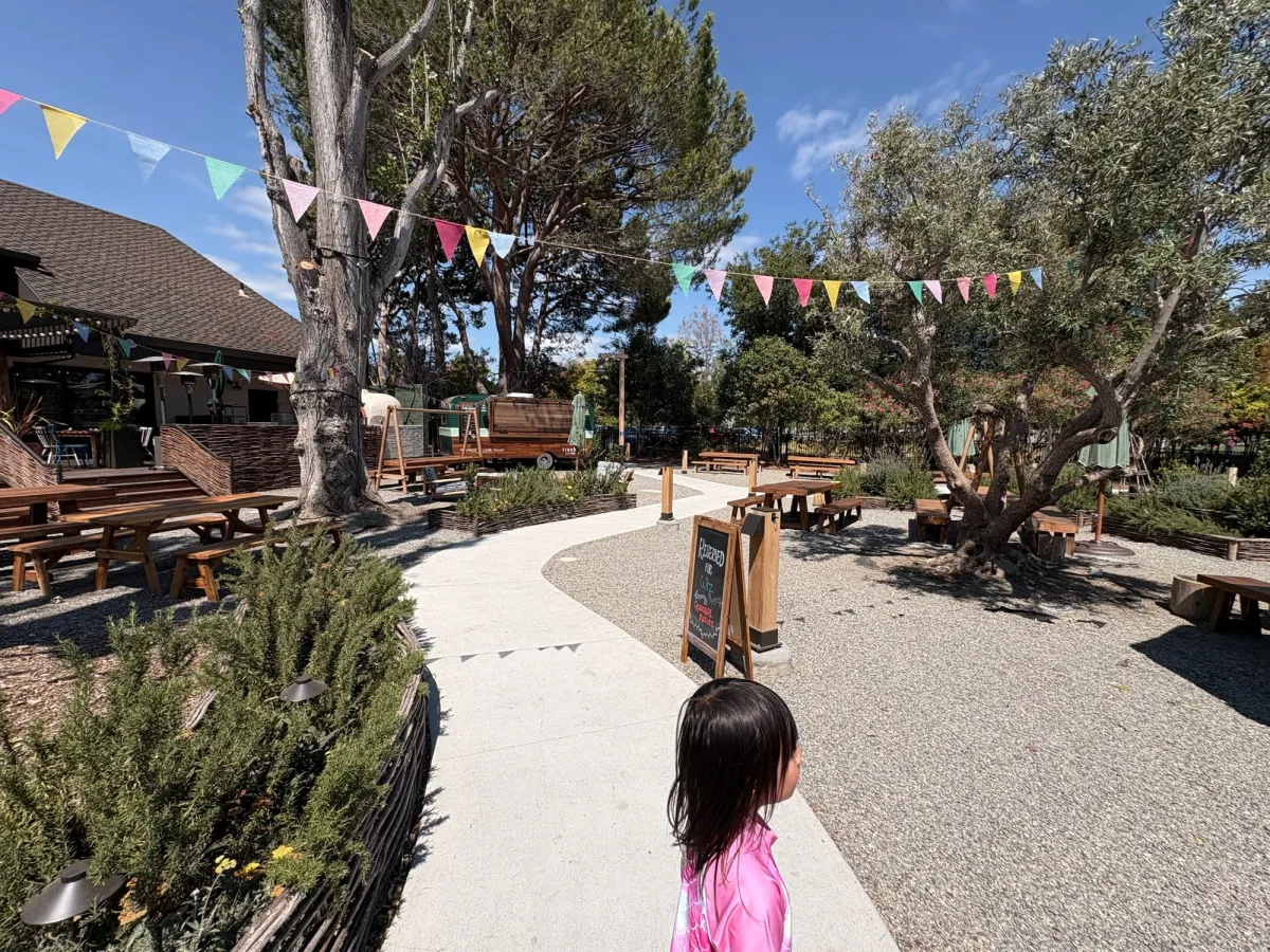Treehouse Hotel Silicon Valley