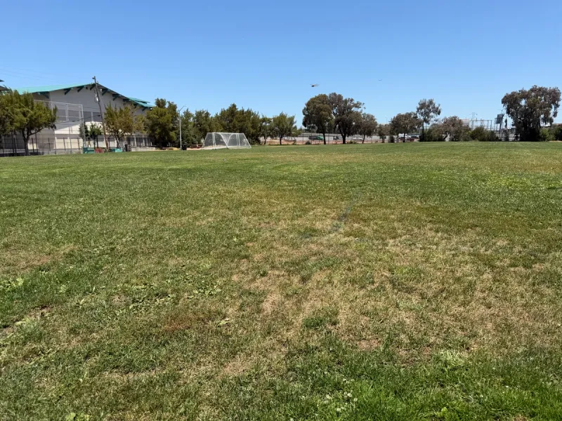 Soccer field