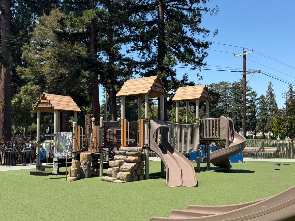 Large toddler play equipment with lots of bridges