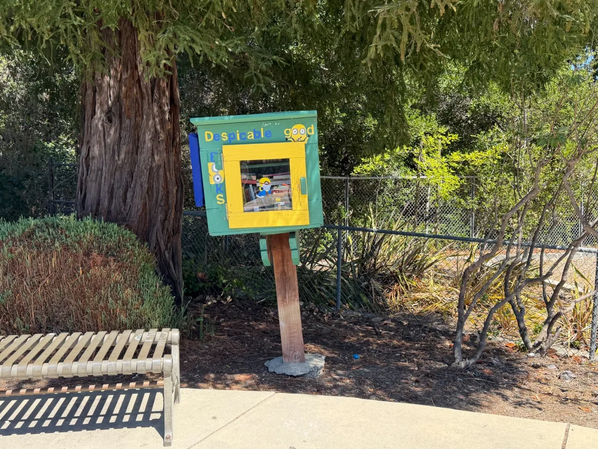 Free little library - mostly books for adults/big kids