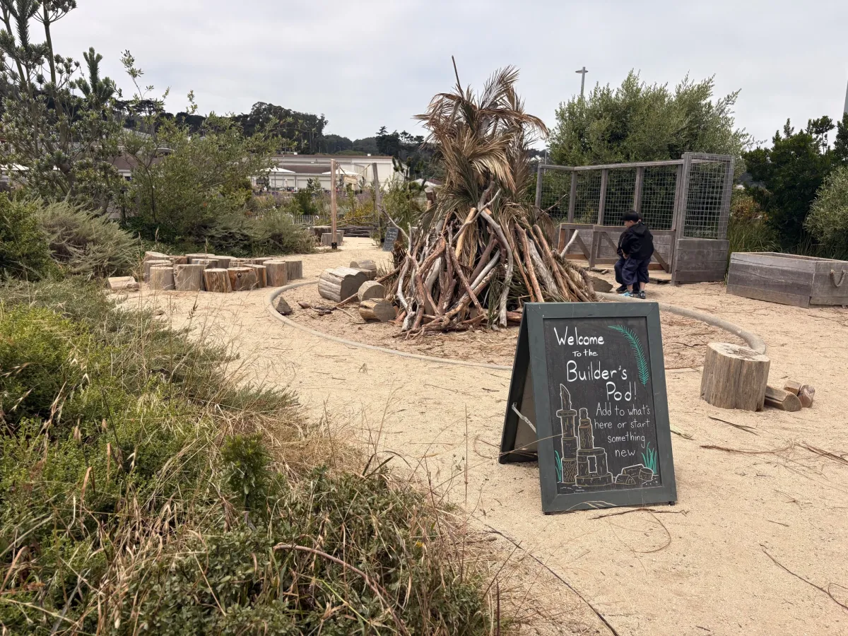 Kiddos building area