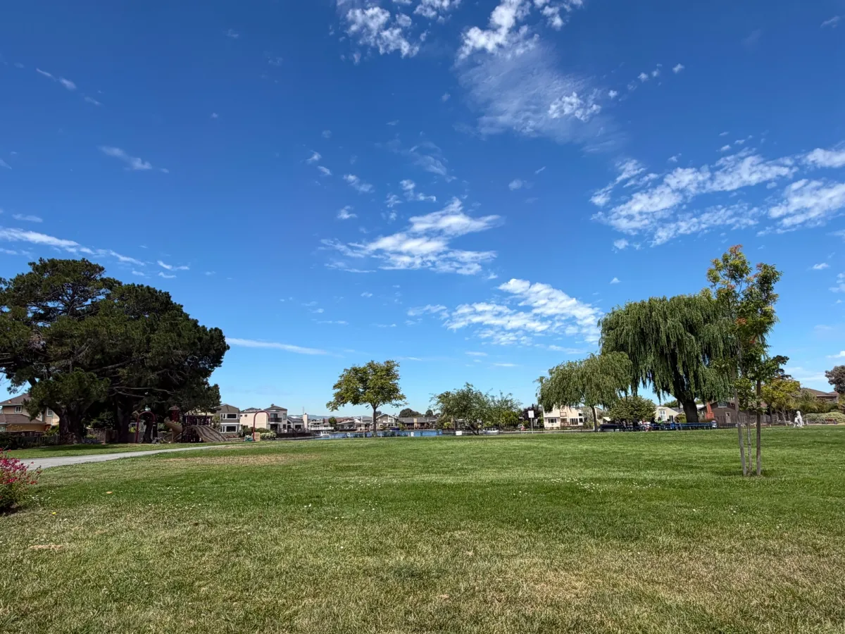 Large grass field