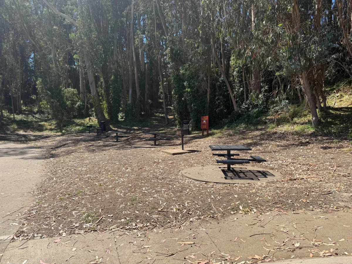 Picnic table cluster next to park