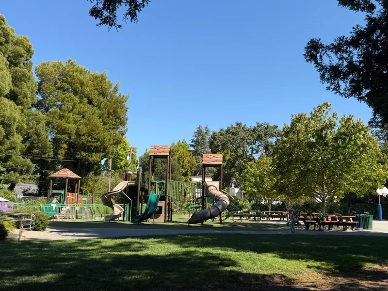 Overview of entire playground area showing 3 big slides and 1 little slide