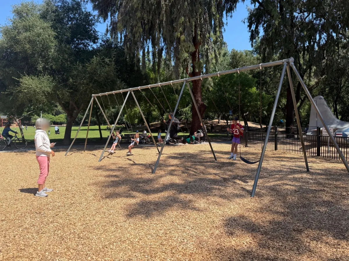 Good number of swings. A little dated, no accessible swings, but in good condition.