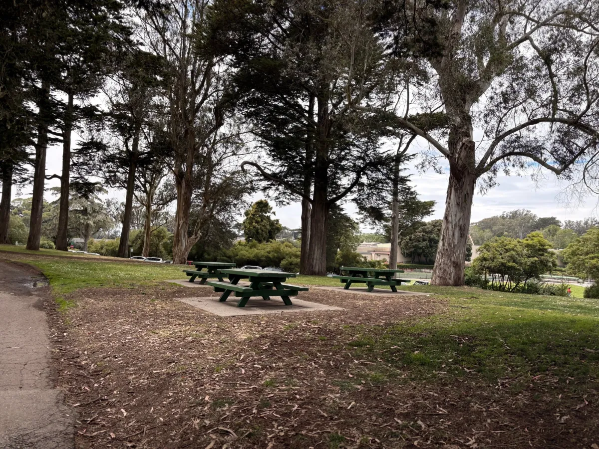 Picnic tables outside of the park under the trees