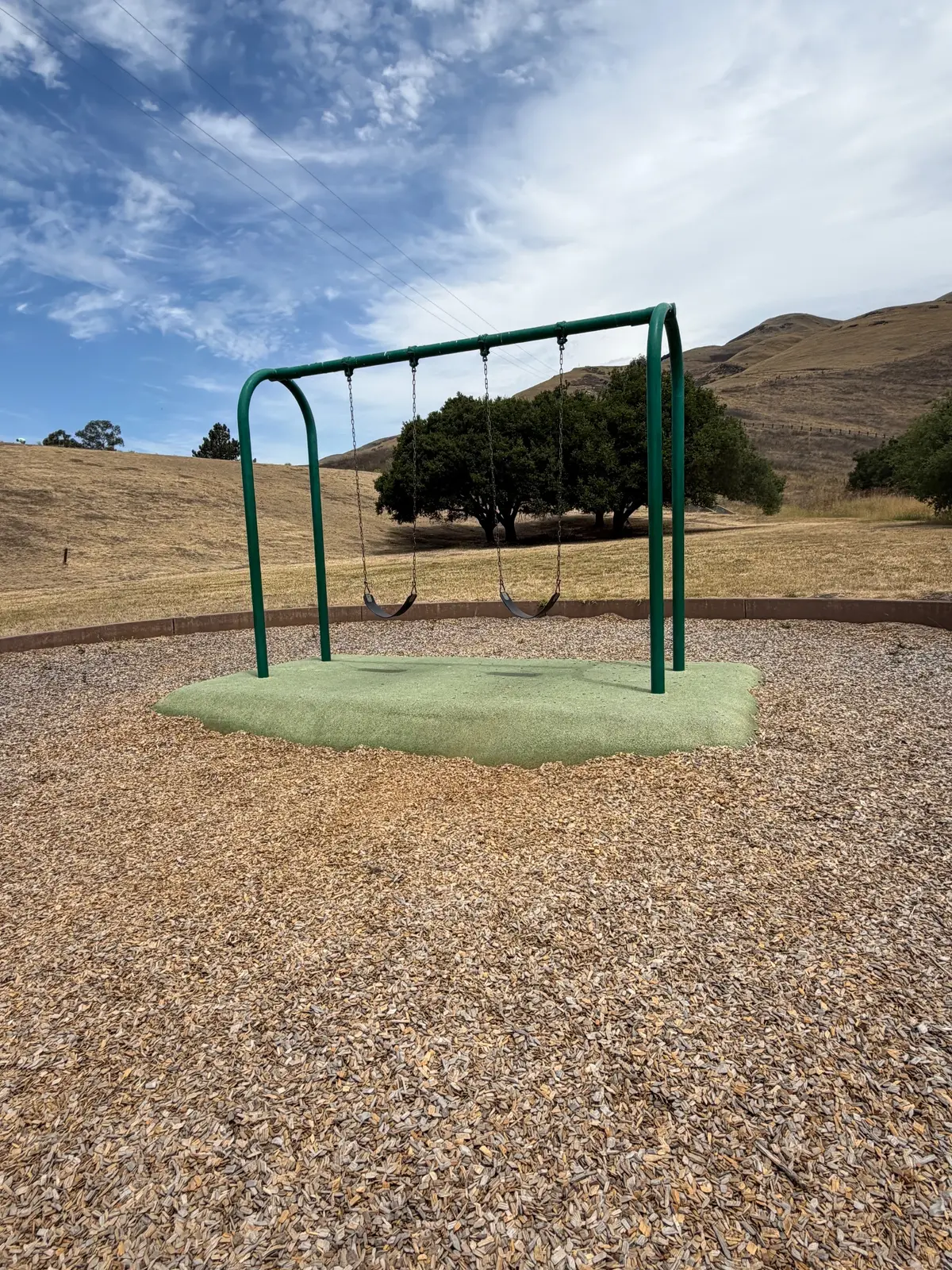 Big kid swings