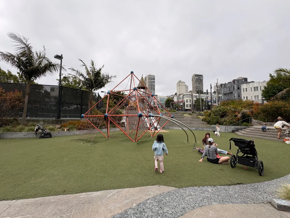 Large climbing structure