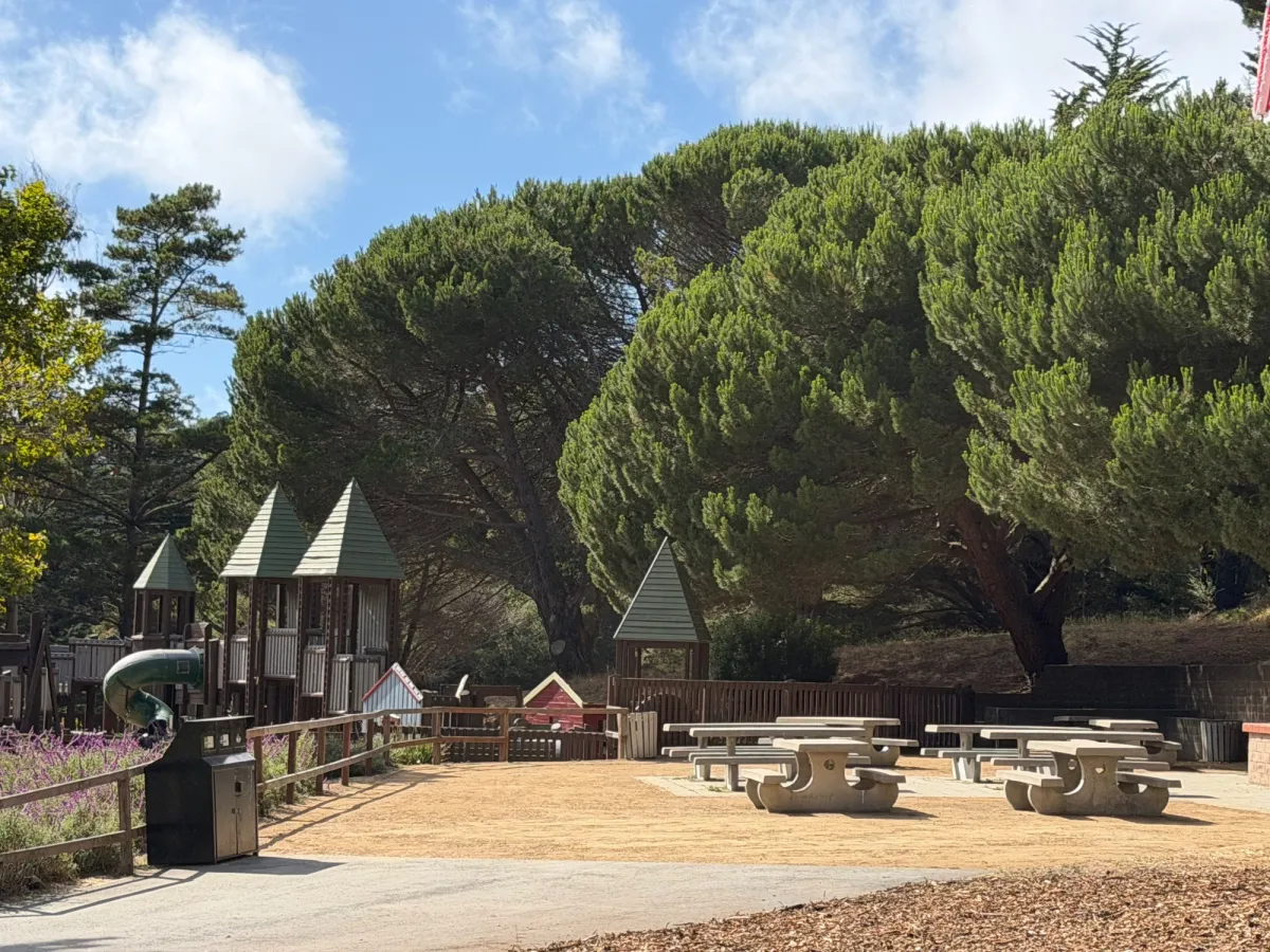 Picnic tables overseeing playground