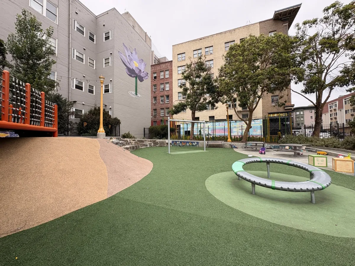 Climbing structure and swings