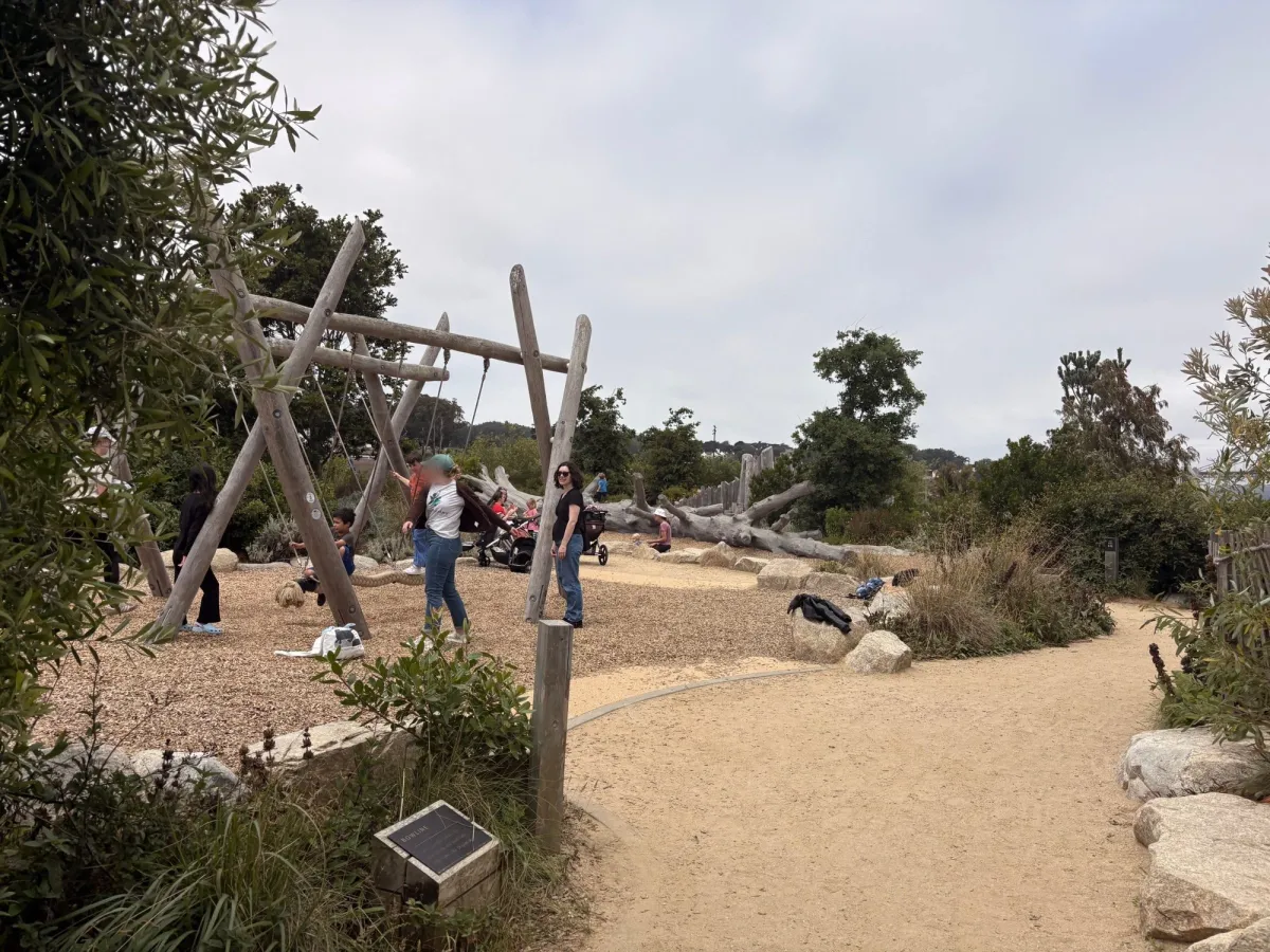 Swings