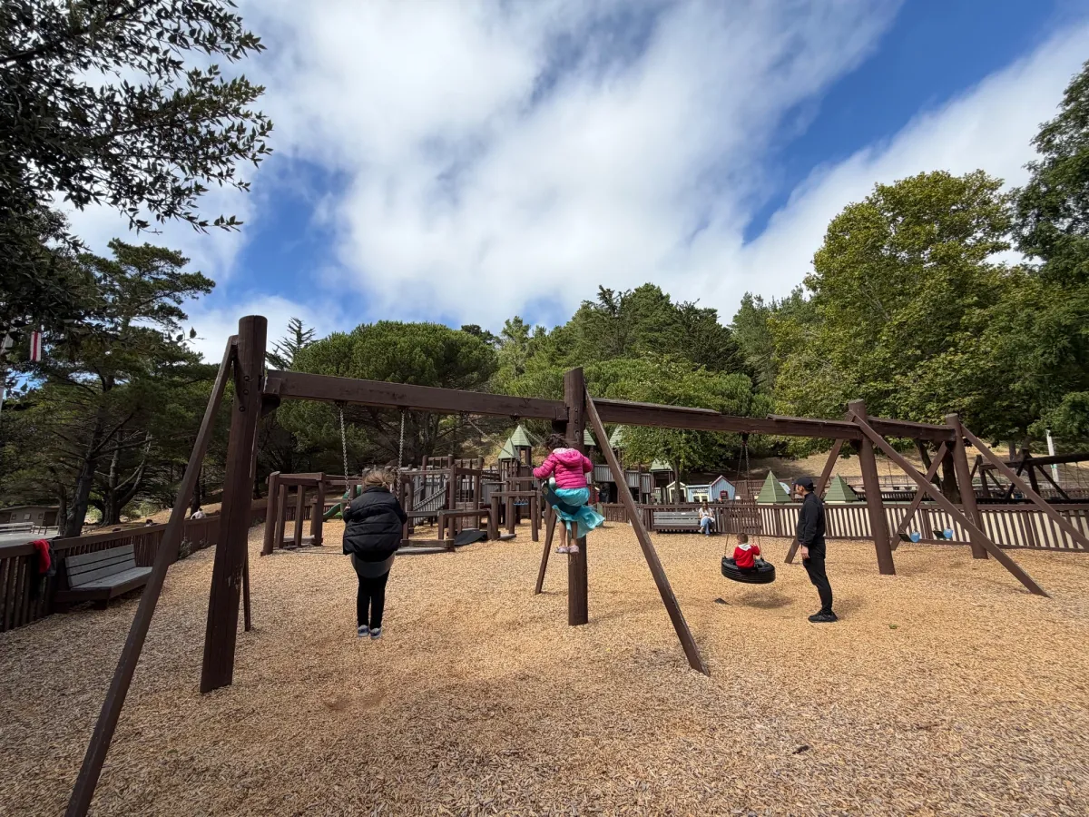 Regular swings and tire swing