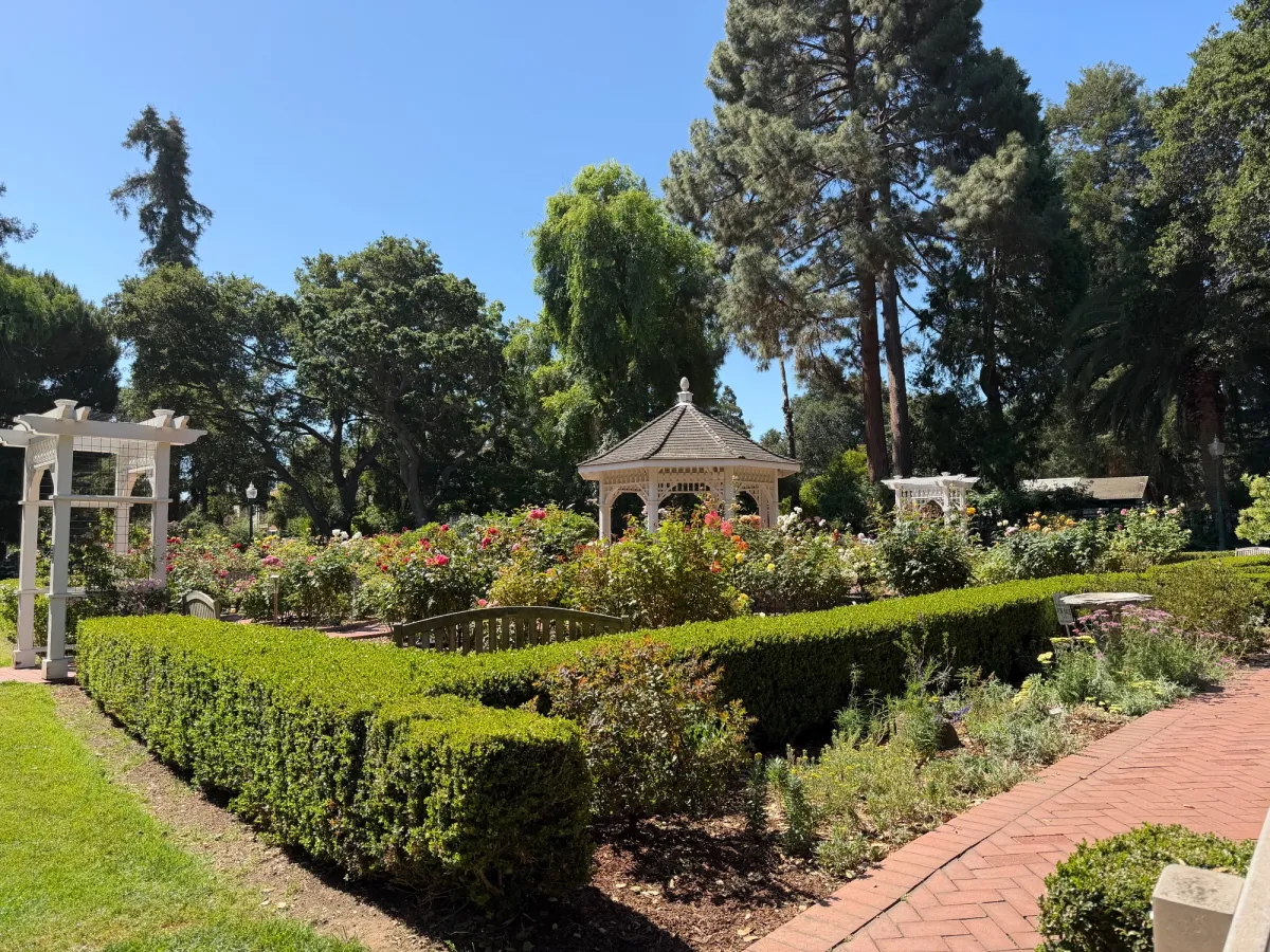 Rose garden