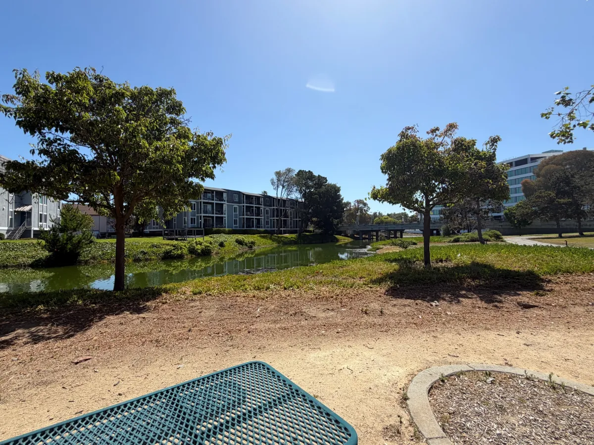 Creek runs behind the playground