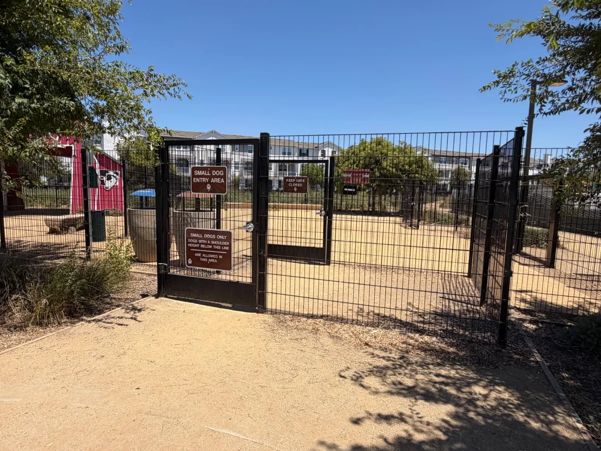 Dog park