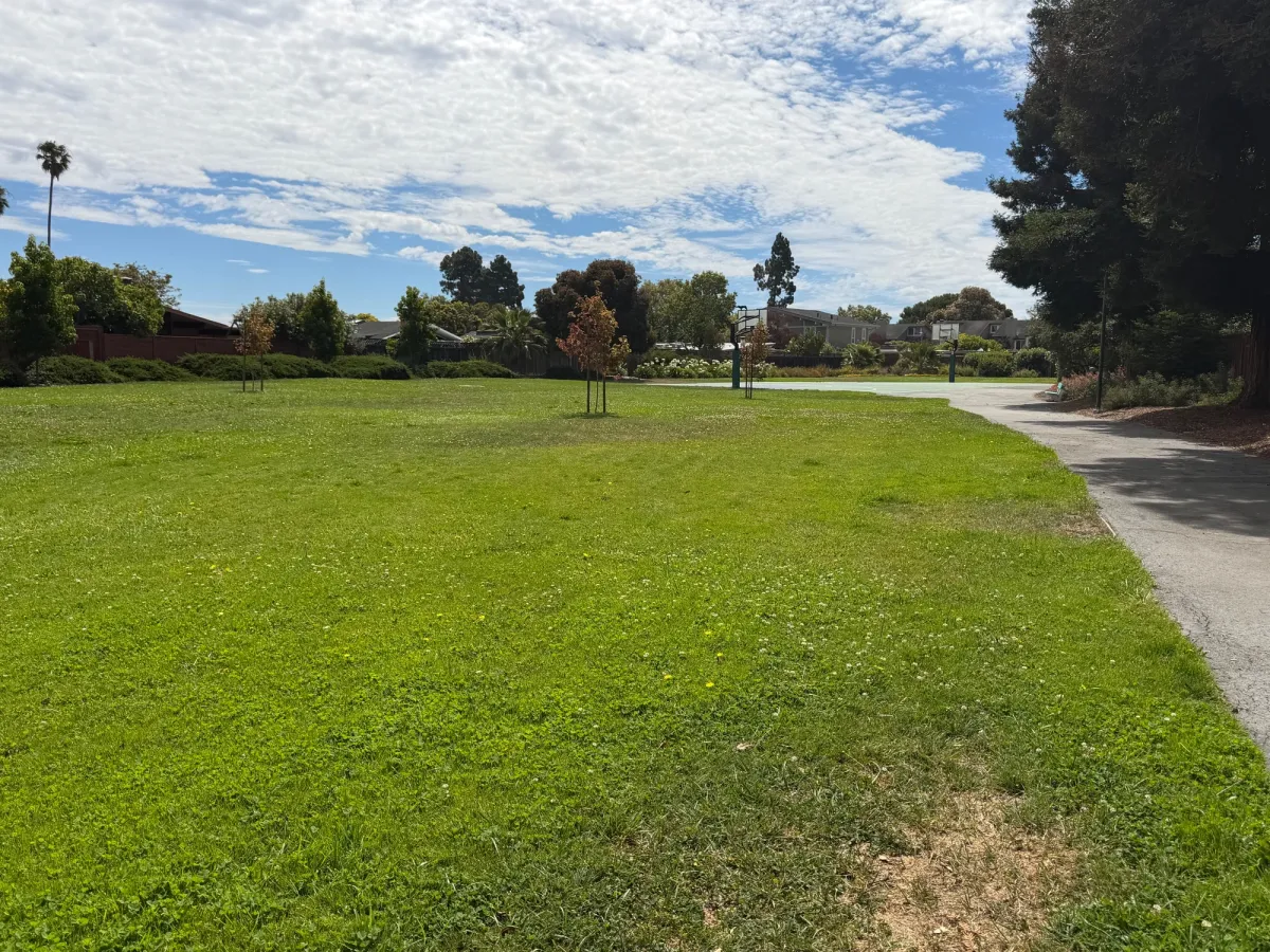 Large green grass fields