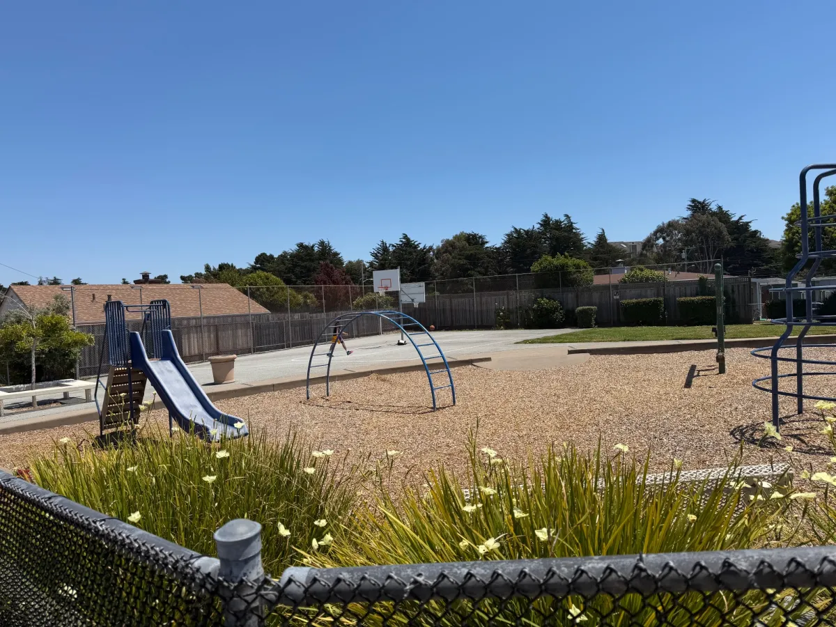Small slide and climbing structures, swings have 1 toddler swing 1 big kid swing