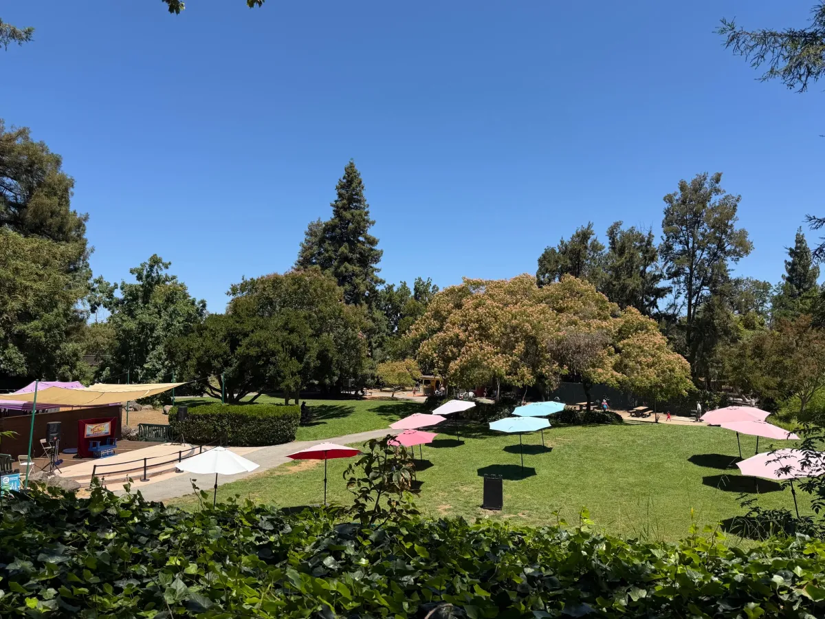 Amphitheater where shows are performed 