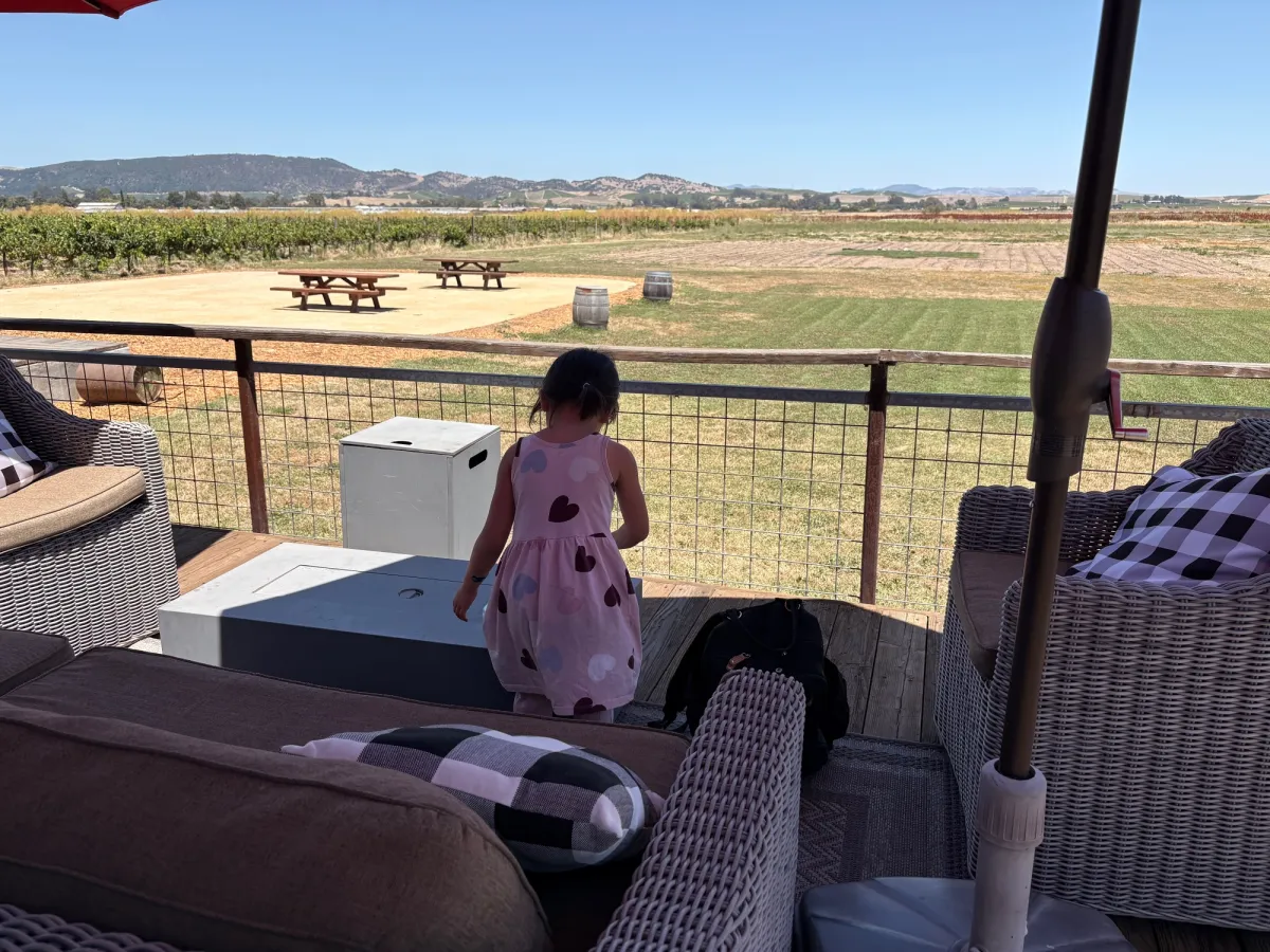 Picnic views from one of the table