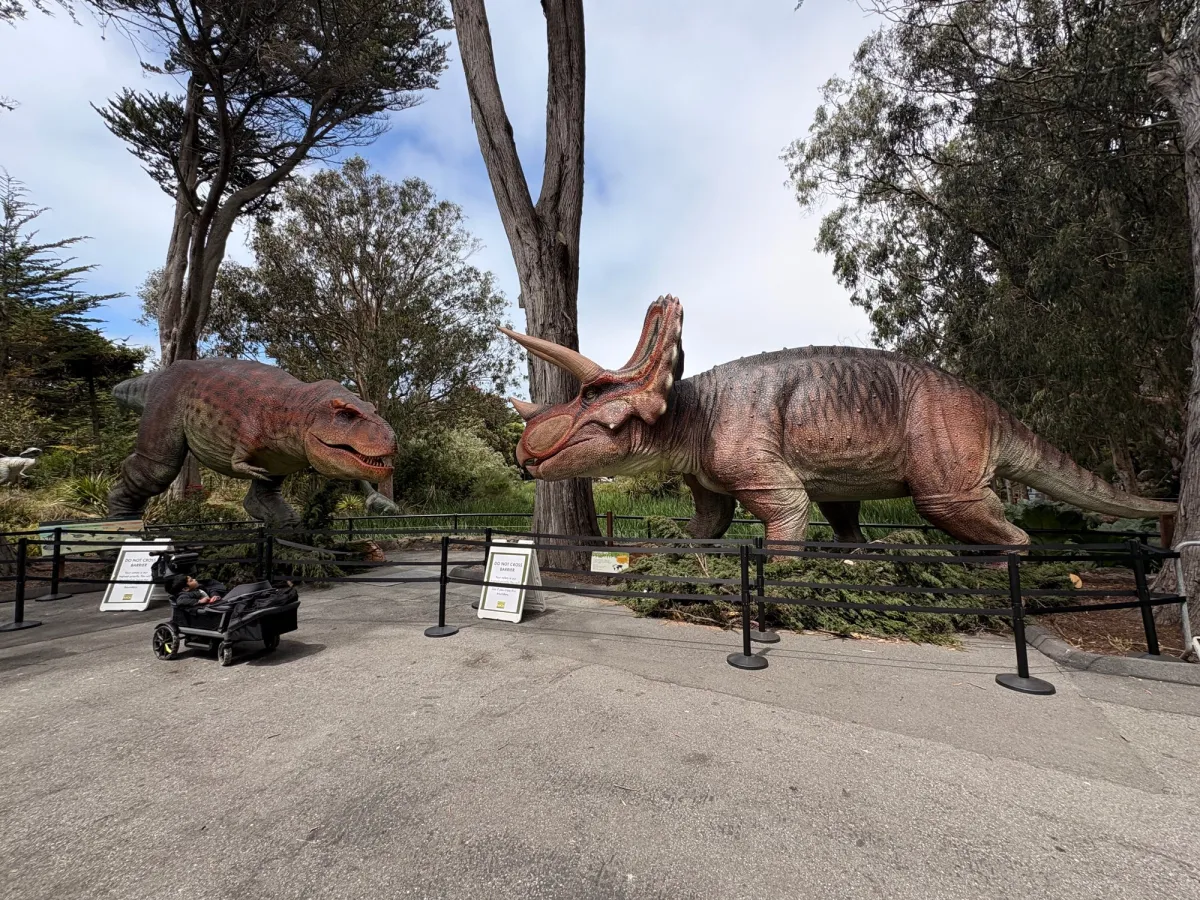 San Francisco Zoo