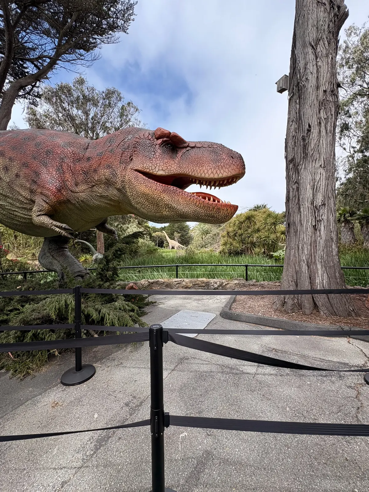 San Francisco Zoo
