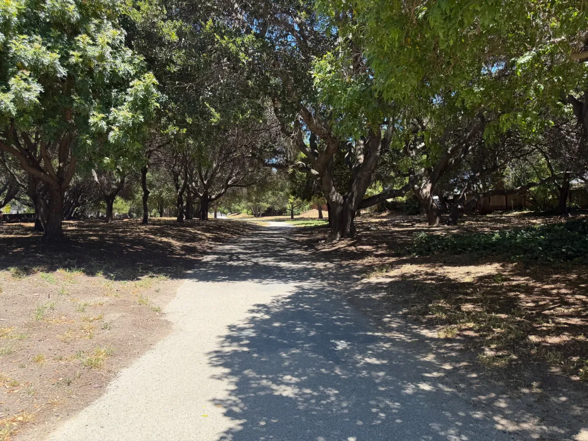 Mosta grove trails are nicely shaded