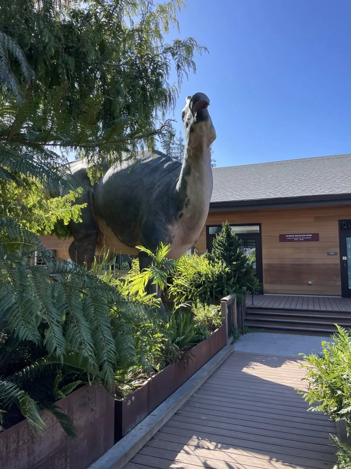 Dinosaur garden