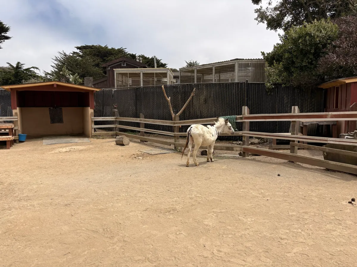 San Francisco Zoo