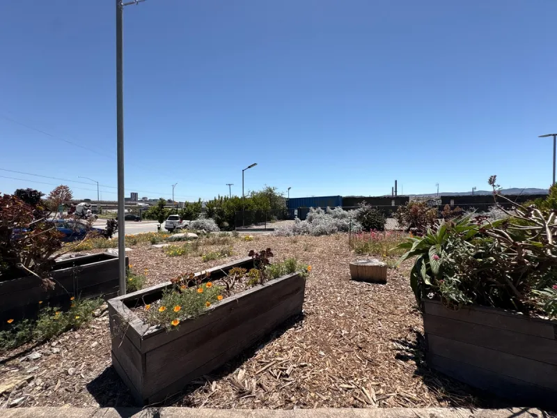 Community plots