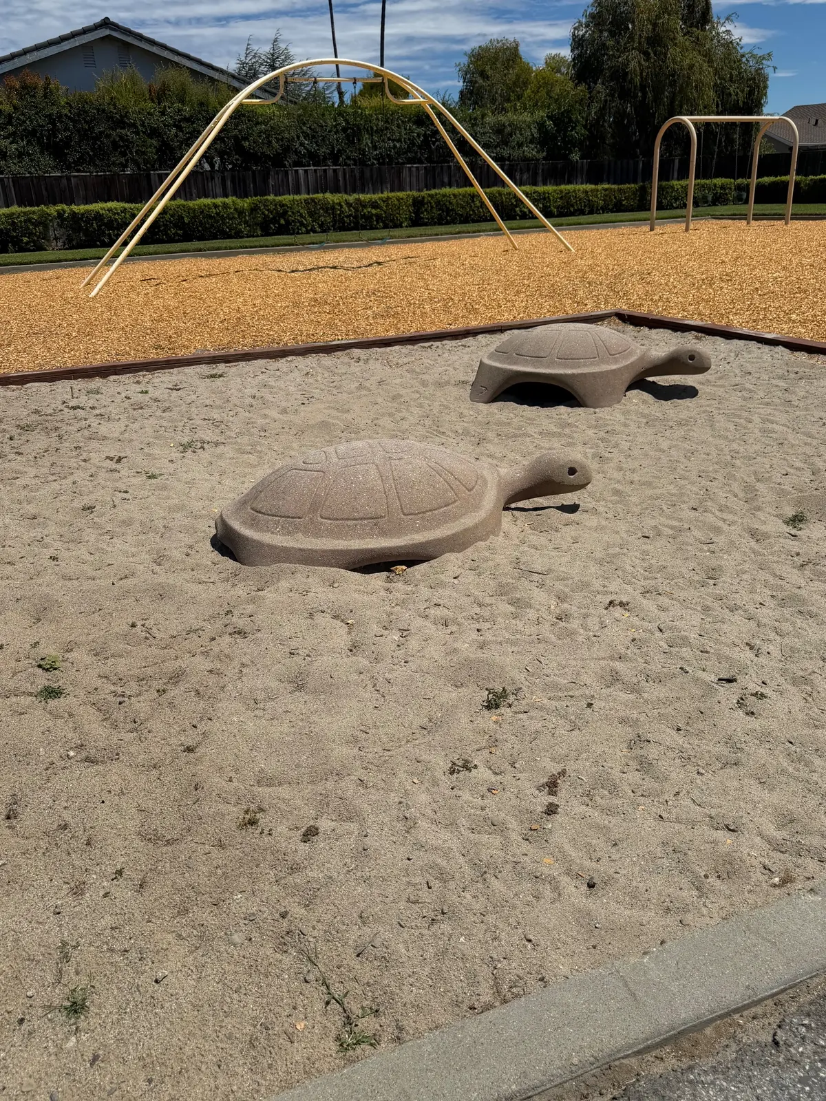 Sandpit with turtle statues 