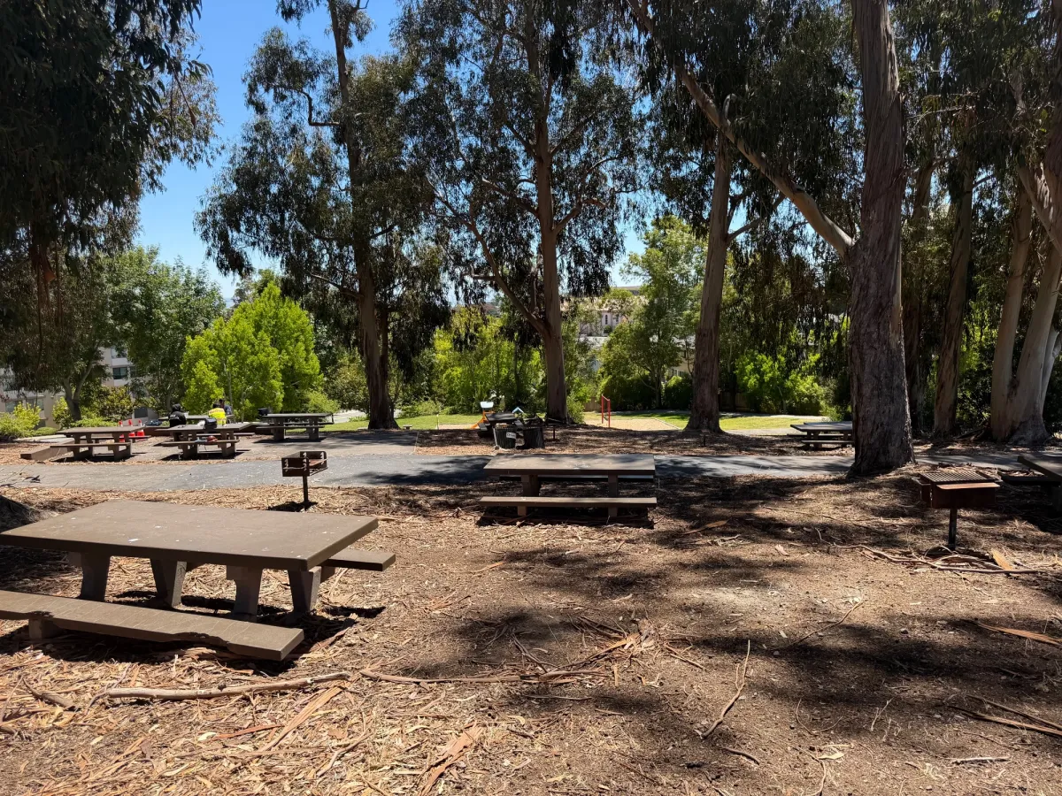 Lots of picnic tables overlooking playground below