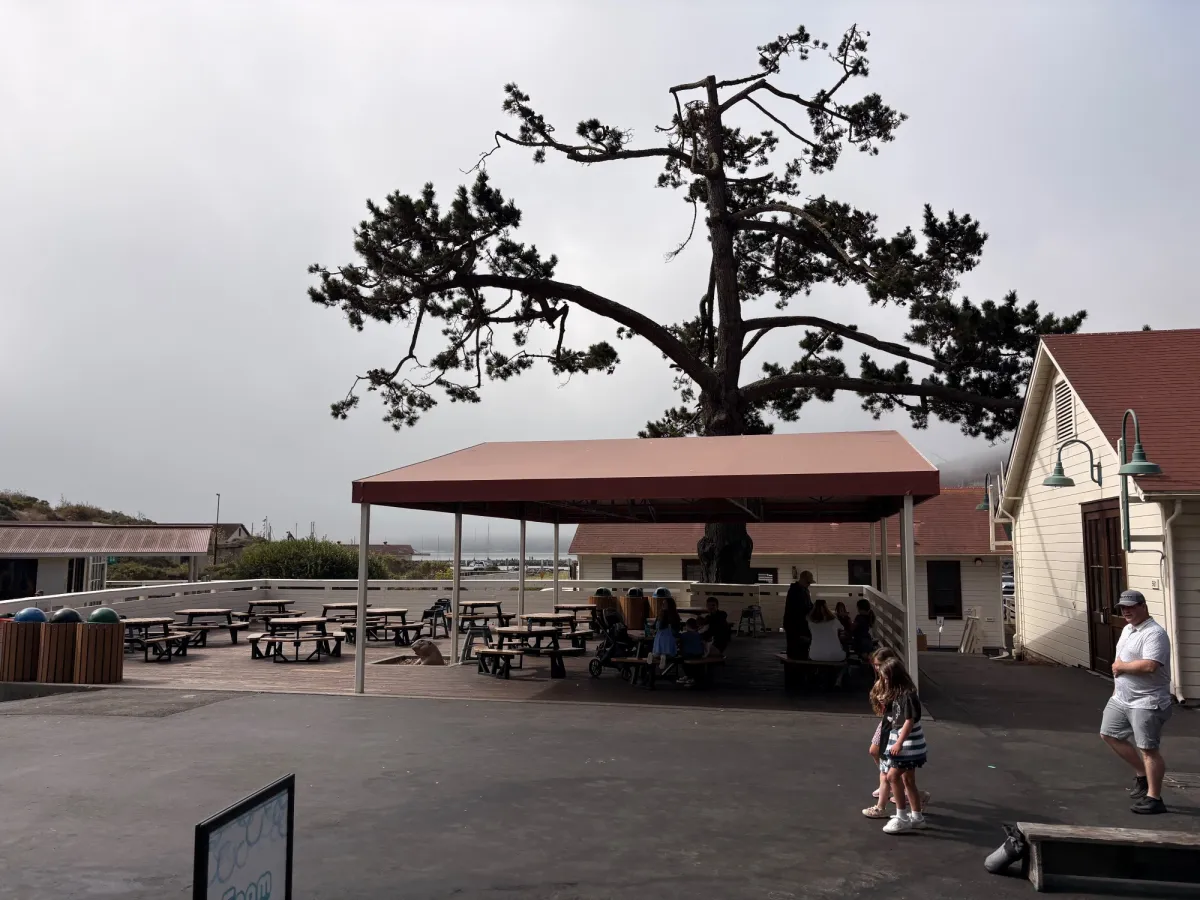 Bay Area Discovery Museum