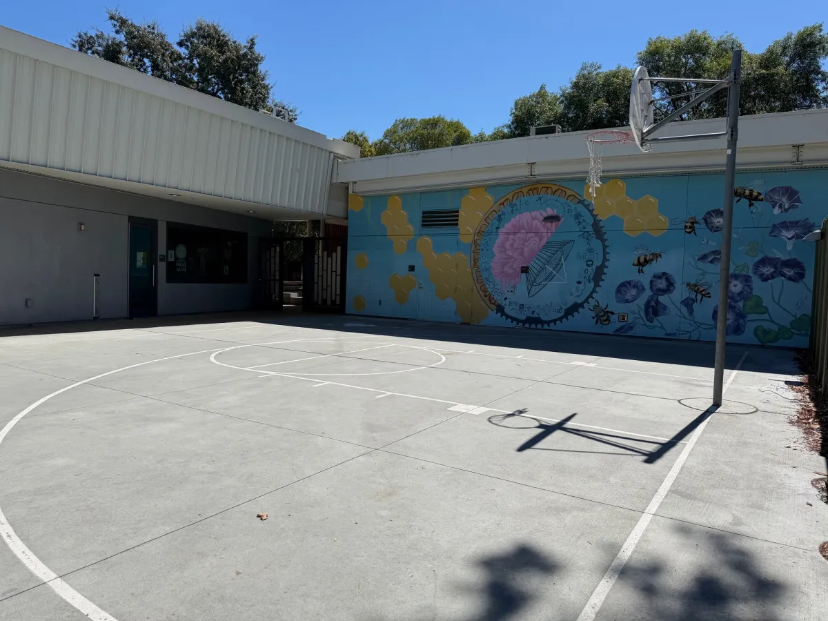 Basketball court