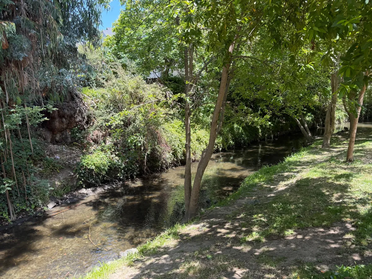 Small creek running behind the playground