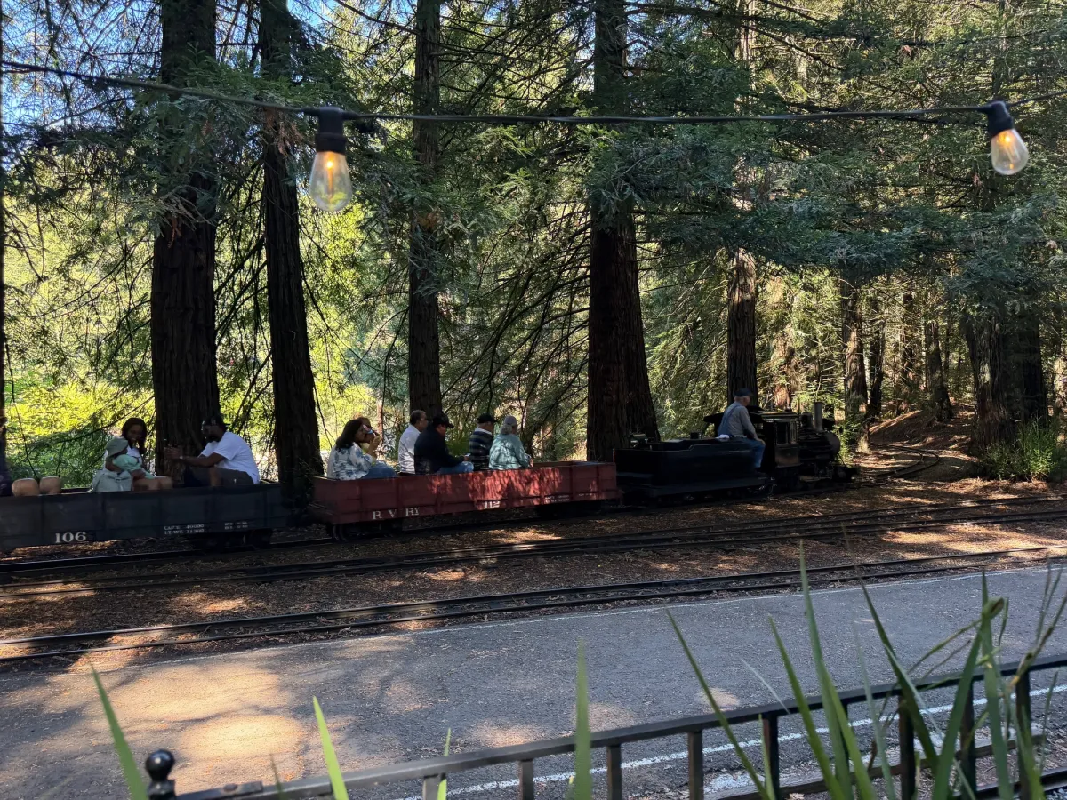 Tilden Park Steam Train at the Redwood Valley Railway