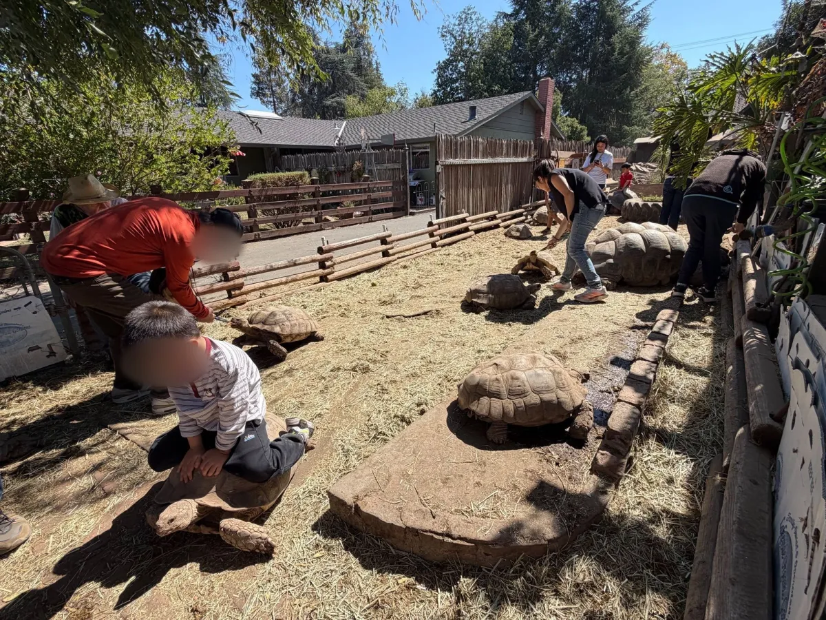 Tortoise Ranch