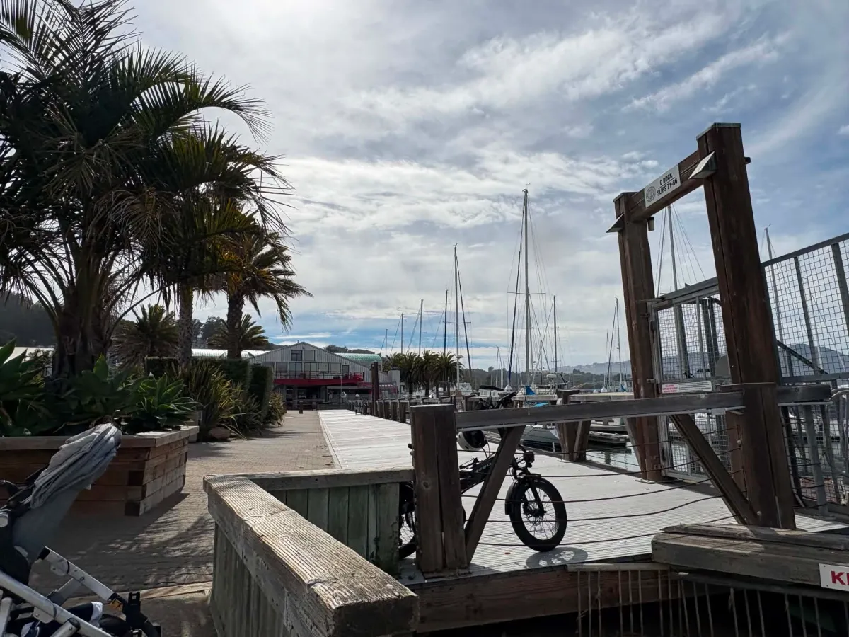 Schoonmaker Point Marina