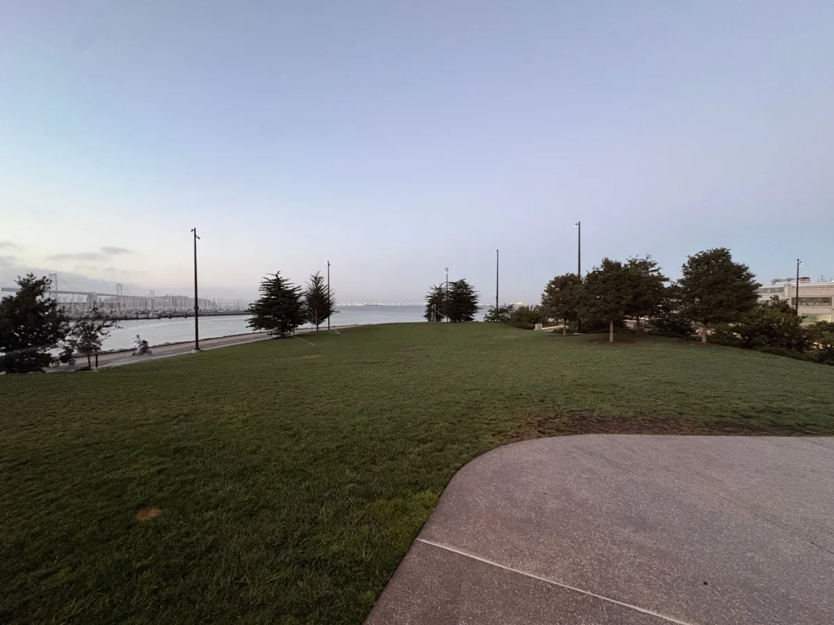 View of the grass field, this is elevated