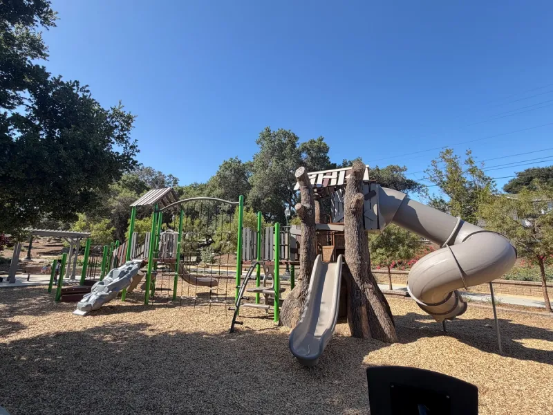3 slides, climbing structure, and treehouse themed play