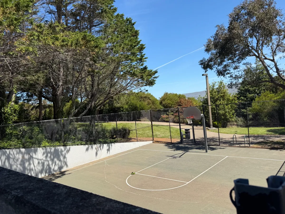 Basketball court
