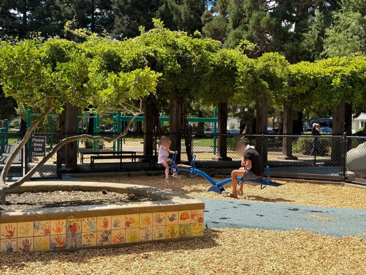 Seesaw in toddler zone